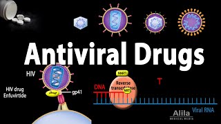 Antiviral Drugs Mechanisms of Action Animation [upl. by Holbrooke4]