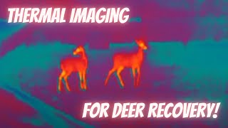 Deer hunting recovery using FLIR thermal imaging monocular [upl. by Nichola]