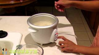 KITCHEN GOURMET RICE COOKER [upl. by Leumel]