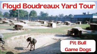 Floyd Boudreaux Yard Tour  American Pit Bull Terrier Kennel [upl. by Ylecara]