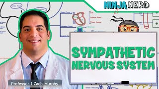 Neurology  Sympathetic Nervous System [upl. by Rebhun]