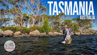 Exploring Tasmania Australia  Fly Fishing Plateau Lakes amp Small Creeks by Todd Moen [upl. by Klehm175]