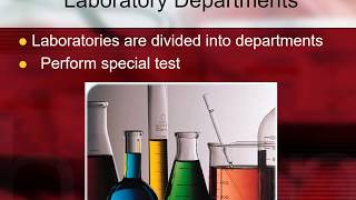 Major Departments in Phlebotomy [upl. by Cran565]