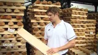 Shane Watson on how a bat is built [upl. by Orbadiah332]