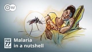 Malaria — Symptoms and treatment [upl. by Wichern]