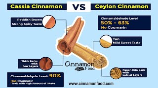 Ceylon Cinnamon vs Cassia  Difference Between Ceylon Cinnamon and Cassia Cinnamon [upl. by Yajet937]