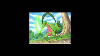 Treeko Evolves into Grovyle [upl. by Aneeroc]