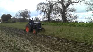 Fordson Major E27N Perkins P6 ploughing [upl. by Brackely]