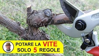 POTARE LA VITE SOLO 5 REGOLE [upl. by Akinam636]