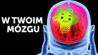 Podróż w głąb mózgu [upl. by Wyon]