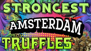 Taking The STRONGEST Magic Truffles in Amsterdam [upl. by Druce]