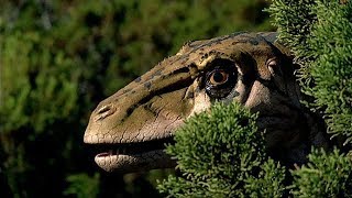 Walking with Dinosaurs  Utahraptor vs Iguanodon [upl. by Maurice]