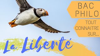 Philosophie  La liberté BAC [upl. by Uaerraj]