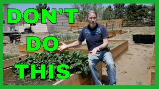 Lessons for Beginner Gardeners 9 Tips [upl. by Mitchiner]