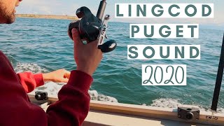 Lingcod fishing Puget Sound Washington  2020 [upl. by Hiasi]