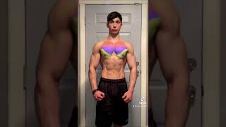 How to grow your CHEST Best exercises [upl. by Drye128]