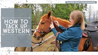 How to Tack Up a Horse Western Style [upl. by Prissy306]