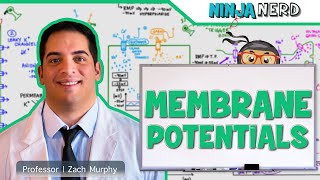 Neurology  Resting Membrane Graded Action Potentials [upl. by Tavis]