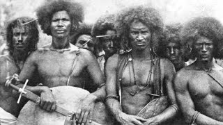 Untold History Of The Aborigines Of America  African Americans Are Indigenous To America Not Africa [upl. by Weksler252]