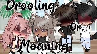 Drooling or moaningskitGacha lifeLovey Dovey [upl. by Naletak]