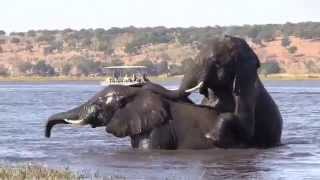 Okavango  Africas World of Water [upl. by Bergeron]