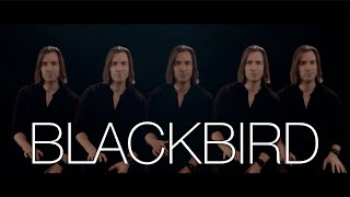 Blackbird  The Beatles  Bass Singer Cover [upl. by Arleta]