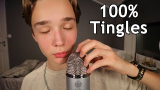 Professional ASMR Mouth Sounds  Sleep amp Tingles Inducing [upl. by Neisa970]