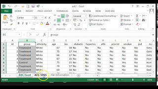 How to import Excel file into SPSS [upl. by Latreshia]