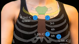 Sternal angle [upl. by Nevs]