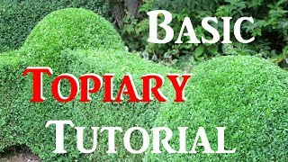 How To Do Basic Topiary  Tutorial [upl. by Hgielsel]