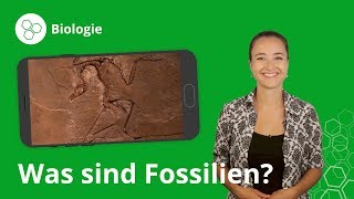 Fossilien Das musst du wissen – Biologie  Duden Learnattack [upl. by Levison]