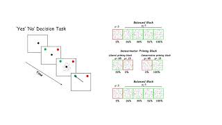 DecisionMaking in the Superior Colliculus [upl. by Drofxer]