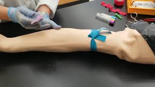 Phlebotomy Venipuncture Procedure [upl. by Childs78]