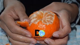 Nunca más tirarás las cáscaras de naranja después que conozcas sus usos y beneficios [upl. by Enenej885]