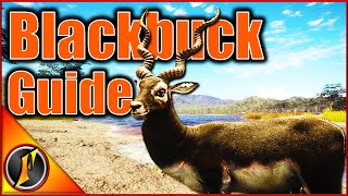 Blackbuck Guide  Everything You Need to Know [upl. by Burra]