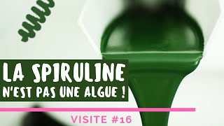 Produire de la Spiruline étape par étape  Partie 12  Rencontre SOSpiruline 16 [upl. by Lauretta]