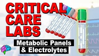 Metabolic Panels and Electrolytes  BMP vs CMP  Critical Care Labs [upl. by Levitan442]