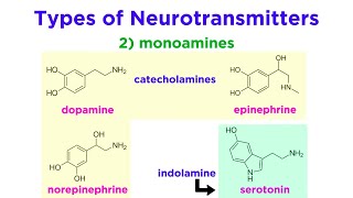 Neurotransmitters Type Structure and Function [upl. by Anastasius]