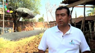 Biodigestores Sistema Biobolsa en Morelos [upl. by Evad]