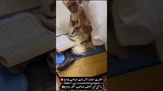 Maulana Ahmad laat Sahab short clip [upl. by Ynamad]