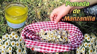 Pomada de Manzanilla Curativa [upl. by Tezil]