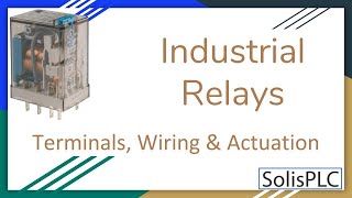 Industrial Relay Control System  Wiring a 24 Volt DC Relay Circuit [upl. by Persas]