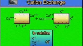 AGPR201 10 03 Cation Exchange Graphic [upl. by Ilaire895]