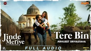 Parmish Verma Tere Bin Full AudioTroy Arif ft Abhijeet SrivastavaSonam B Pankaj BJinde Meriye [upl. by Abrahamsen]