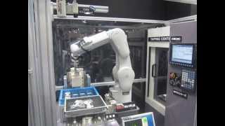 Mitsubishi Electric F Series Robot Machine Tending [upl. by Nicholle]