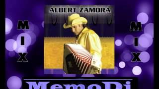 Albert Zamora Tejano mix [upl. by Nonnahc601]