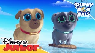 Surfs Up Pups  Puppy Dog Pals  Official Disney Channel Africa [upl. by Appolonia]