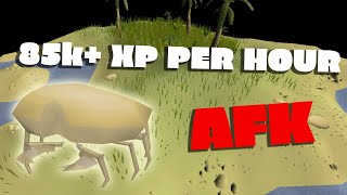 OSRS BEST AFK TRAINING SPOT Sand Crabs 85K XPH [upl. by Polly]