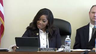 Ranking Member Jasmine Crockett delivers opening remarks [upl. by Jane]