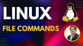 Part 1  UnixLinux for Testers  File Commands [upl. by Aaberg]